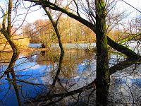 Staré Labe u Třebše (Hradec Králové)