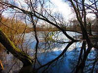 Staré Labe u Třebše (Hradec Králové)