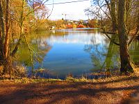 Staré Labe u Třebše (Hradec Králové)