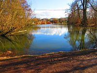 Staré Labe u Třebše (Hradec Králové)