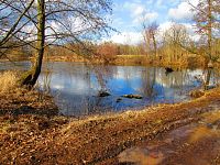 Staré Labe u Třebše (Hradec Králové)