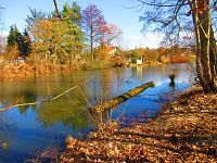 Staré Labe u Třebše (Hradec Králové)