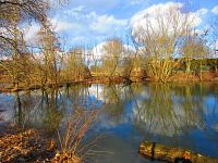 Staré Labe u Třebše (Hradec Králové)