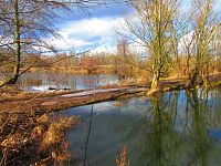 Staré Labe u Třebše (Hradec Králové)