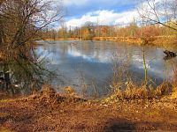 Staré Labe u Třebše (Hradec Králové)