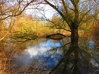 Staré Labe u Třebše