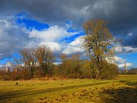 Staré Labe u Třebše (Hradec Králové)