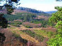 Markova skála (Proseč)