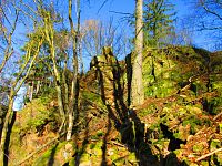 Markova skála (Proseč)