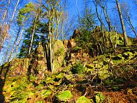 Markova skála (Proseč)