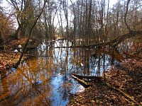 Šidlinky (Hradec Králové)