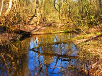 Šidlinky (Hradec Králové)