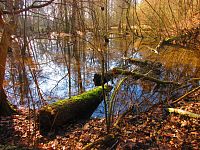 Šidlinky (Hradec Králové)