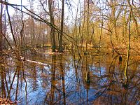 Šidlinky (Hradec Králové)