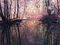 Peklo u České Lípy