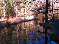 Peklo u České Lípy