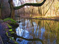 Peklo u České Lípy