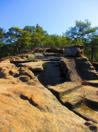 Skautská skála (Sosnová)