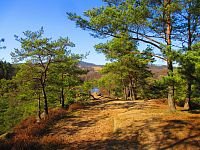 Skautská skála (Sosnová)