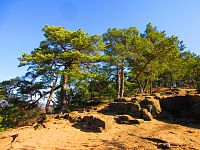 Skautská skála (Sosnová)