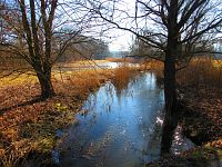 Bobří potok (Zahrádky)