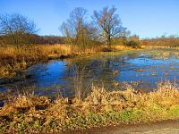 Rozlitý Bobří potok (Zahrádky)