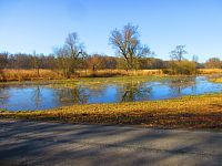 Rozlitý Bobří potok (Zahrádky)