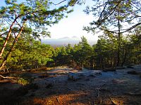 Dlouhý hřeben (Jestřebí)