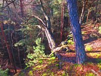 Dlouhý hřeben (Jestřebí)