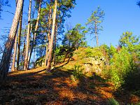 Medvědí vyhlídka (Jestřebí)