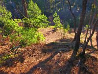 Medvědí vyhlídka (Jestřebí)