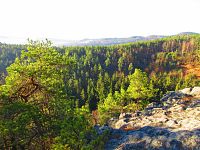 Medvědí vyhlídka (Jestřebí)