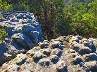 Medvědí vyhlídka (Jestřebí)