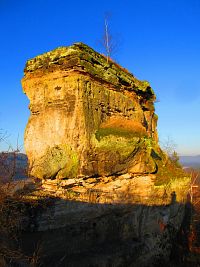 Jestřebský zámecký kopec (Jestřebí)