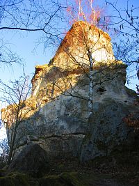 Jestřebský zámecký kopec (Jestřebí)