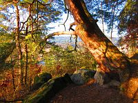 Jestřebský zámecký kopec (Jestřebí)