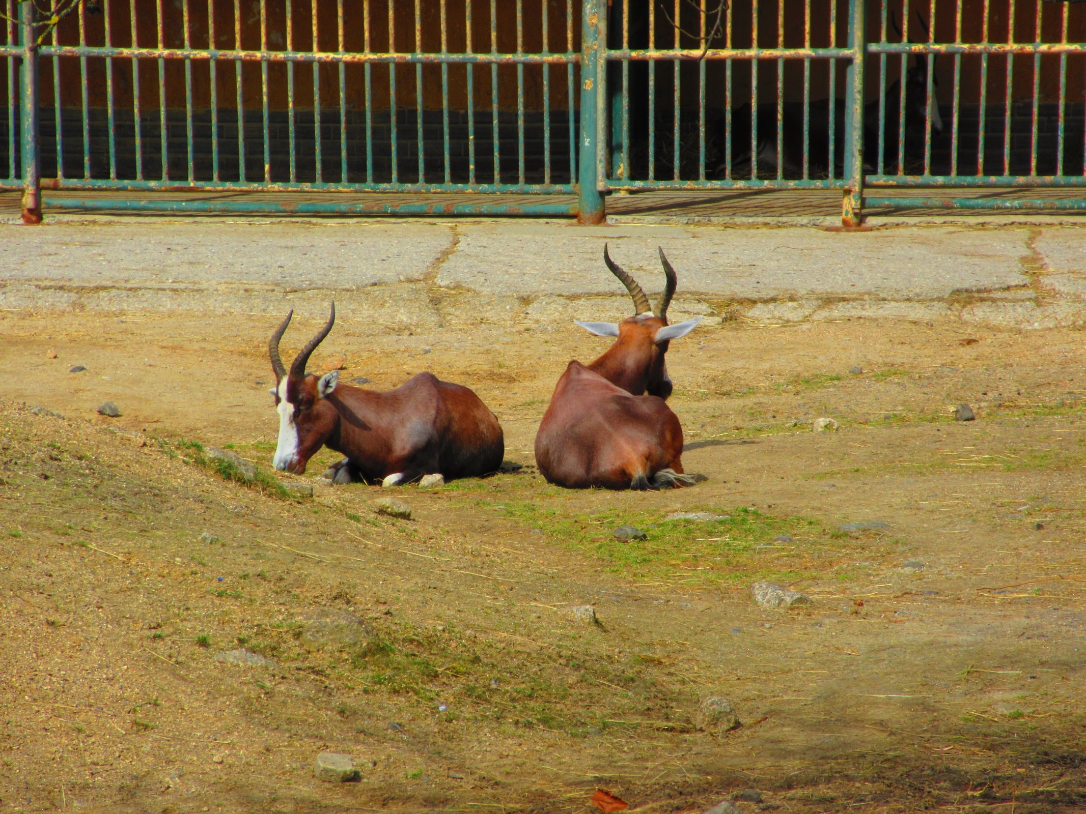 Zoologická zahrada Liberec