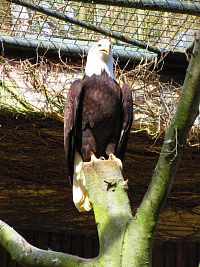 Zoologická zahrada (Liberec)