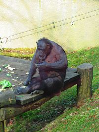 Zoologická zahrada (Liberec)