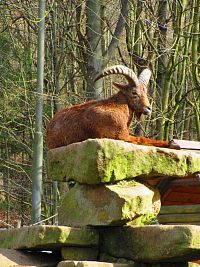 Zoologická zahrada (Liberec)