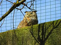Zoologická zahrada (Liberec)