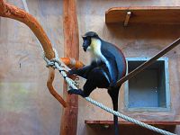 Zoologická zahrada (Liberec)