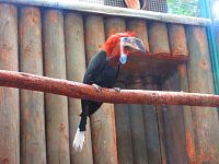 Zoologická zahrada (Liberec)