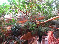 Zoologická zahrada (Liberec)