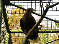 Zoologická zahrada (Liberec)