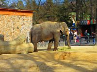 Zoologická zahrada (Liberec)