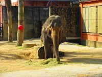 Zoologická zahrada (Liberec)