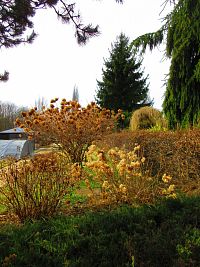 Botanická zahrada (Liberec)