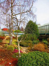 Botanická zahrada (Liberec)