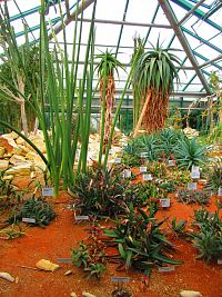 Botanická zahrada (Liberec)